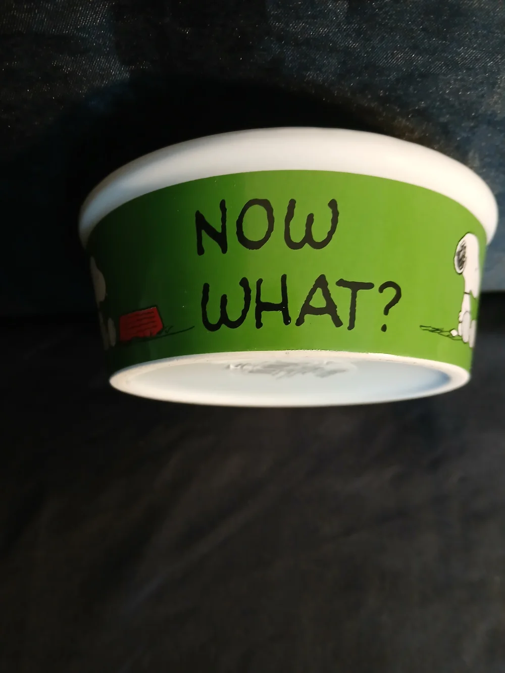 Ceramic Dog Bowl with Snoopy & Woodstock 'More Please' – White